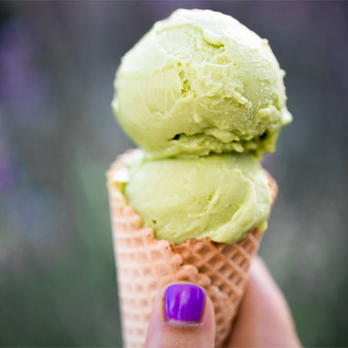 Avocado Ice Cream-1